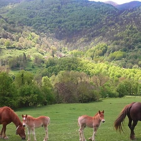 Mas Regort Hotel Vallfogona De Riucorb Eksteriør billede