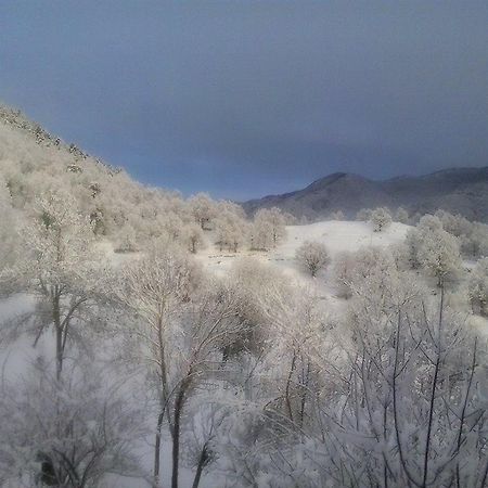 Mas Regort Hotel Vallfogona De Riucorb Eksteriør billede